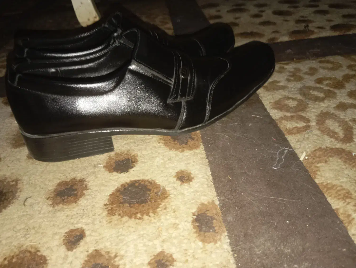 کفش چرم مجلسی|کیف، کفش، کمربند|شیراز, لاله|دیوار