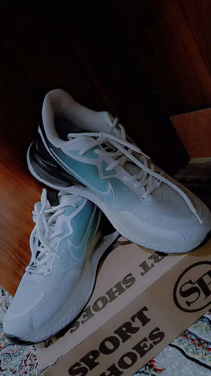 کتونی|کیف، کفش، کمربند|قم, شهر قائم|دیوار