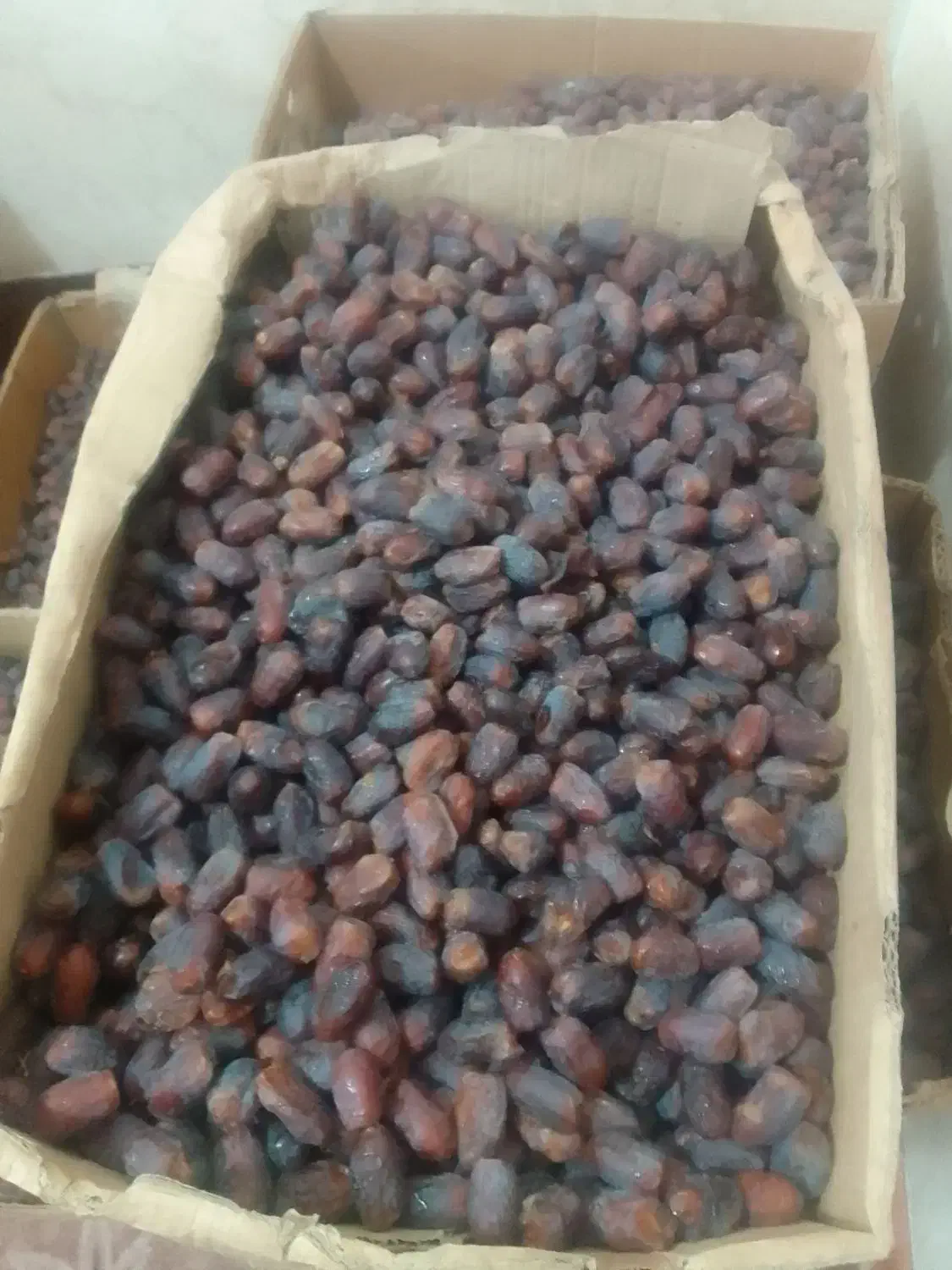 خرمای درجه یک|خوردنی و آشامیدنی|بستک, |دیوار