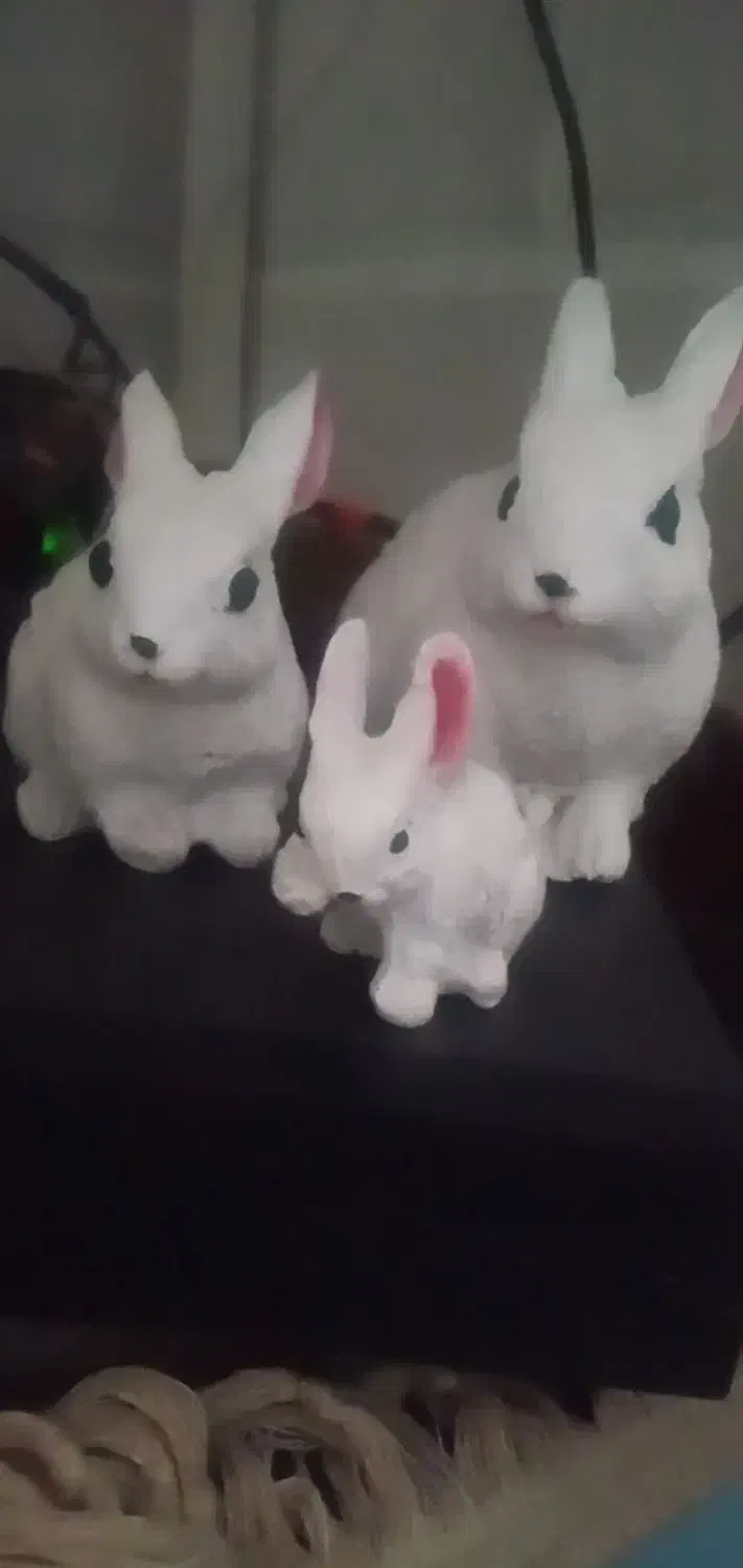 دکور خرگوش|مجسمه، تندیس، ماکت|یزد, |دیوار