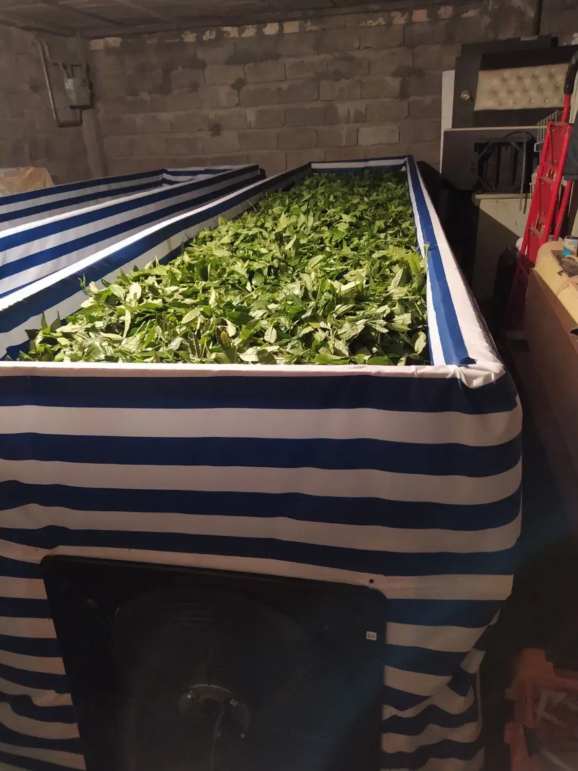 تراف چای|ماشین‌آلات صنعتی|لاهیجان, آهندان|دیوار