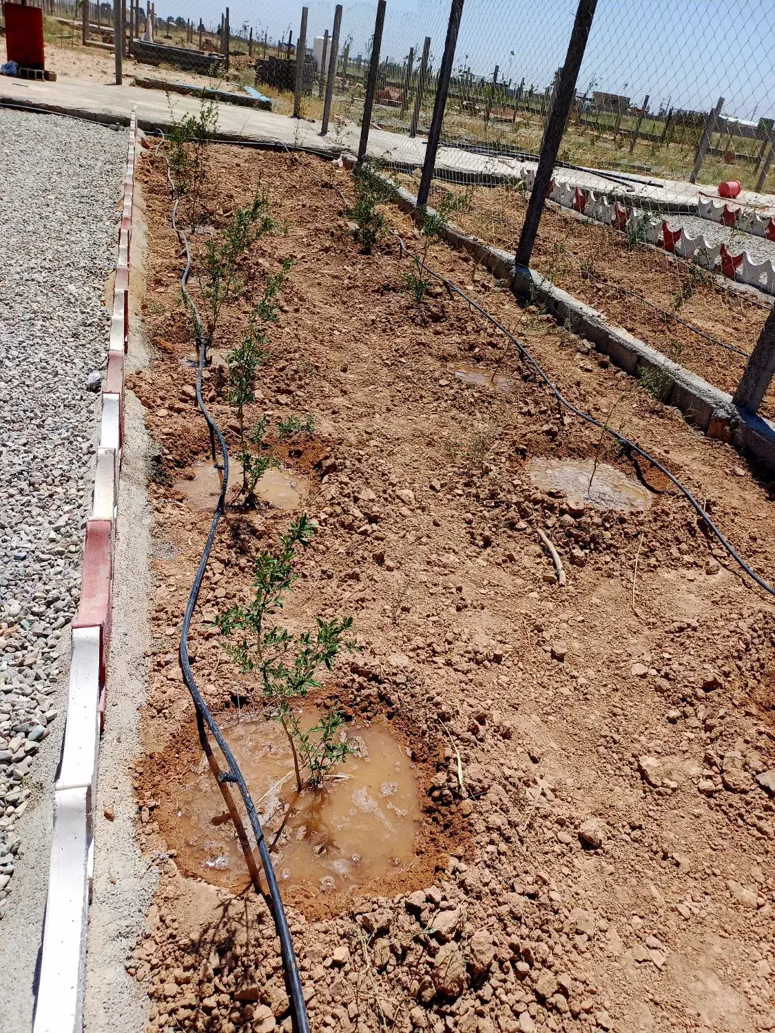 باغچه ۲۵۰ متری در ایجدان|فروش زمین و ملک کلنگی|جوادآباد, |دیوار