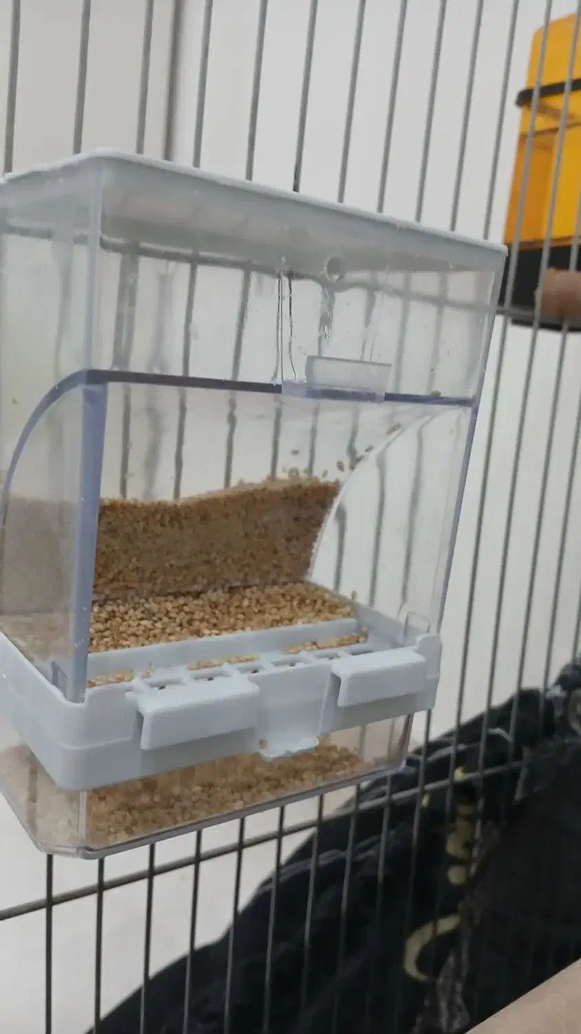 جادونی مکانیزه|لوازم جانبی حیوانات|ری, حمزهآباد|دیوار