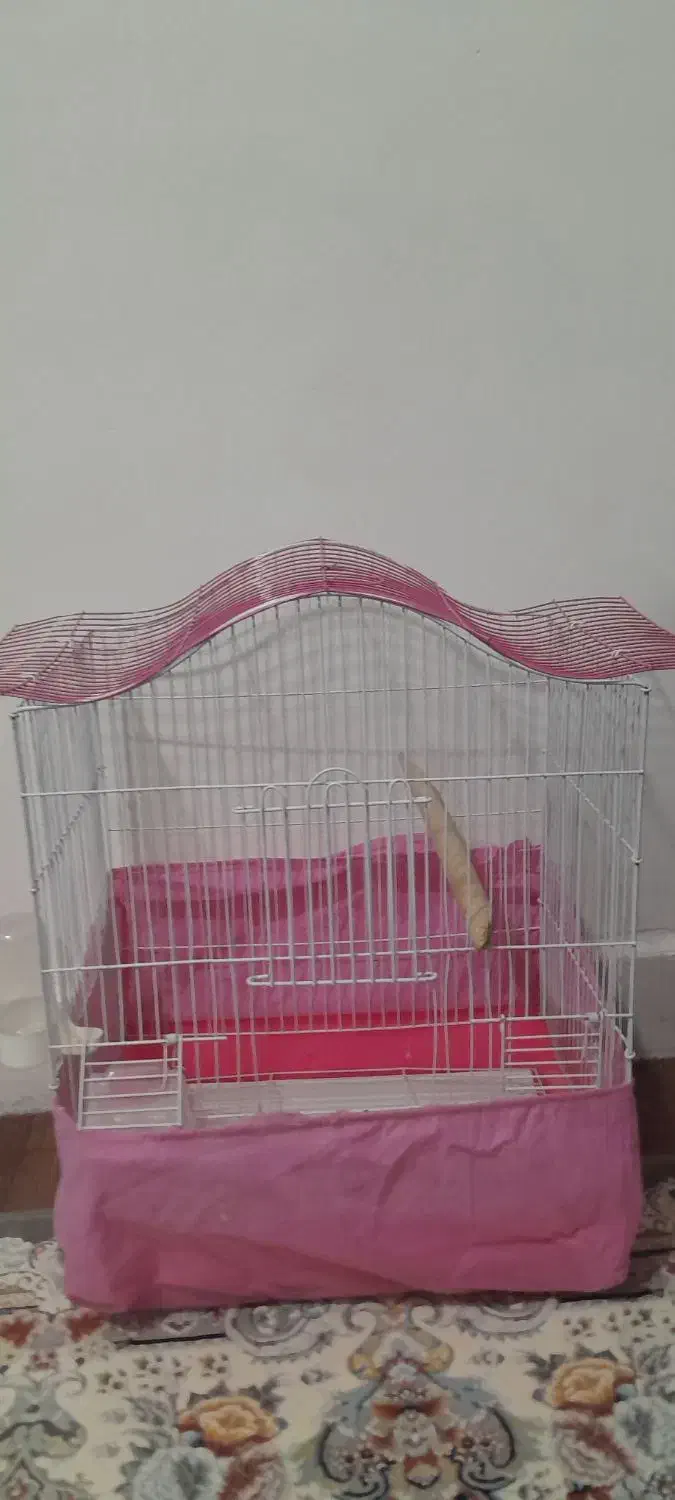 قفس پرنده صورتی|لوازم جانبی حیوانات|سنندج, |دیوار