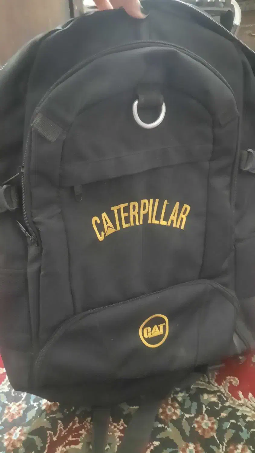 کوله نو|کیف، کفش، کمربند|تربت جام, حافظ|دیوار