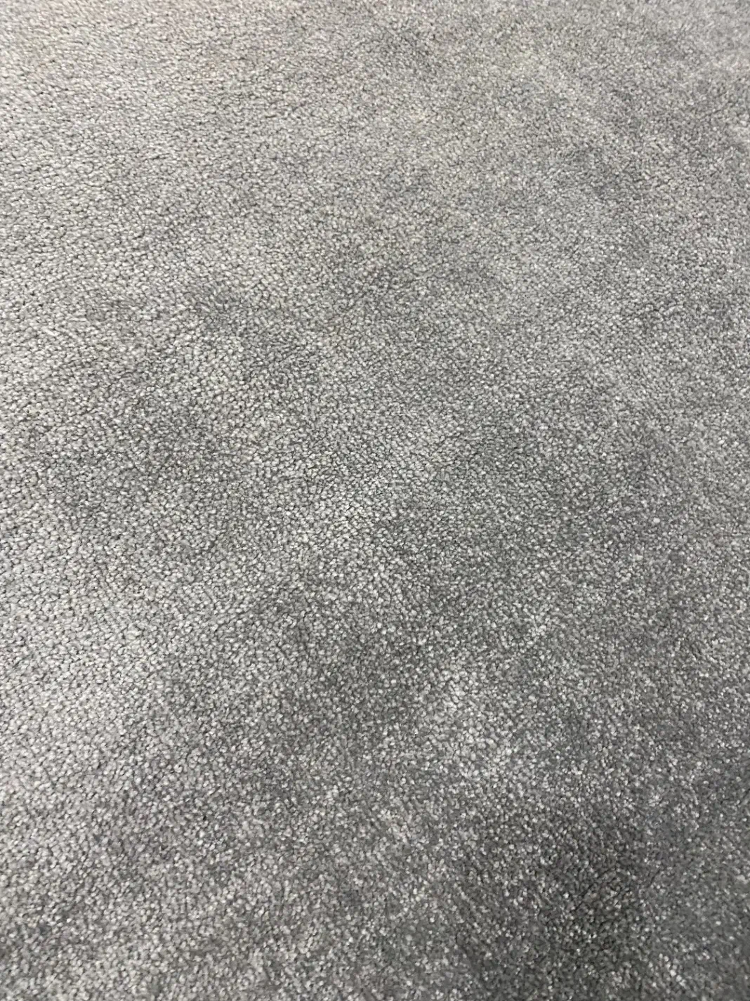 پالاز موکت طوسی ۹ متری|موکت|گرگان, |دیوار