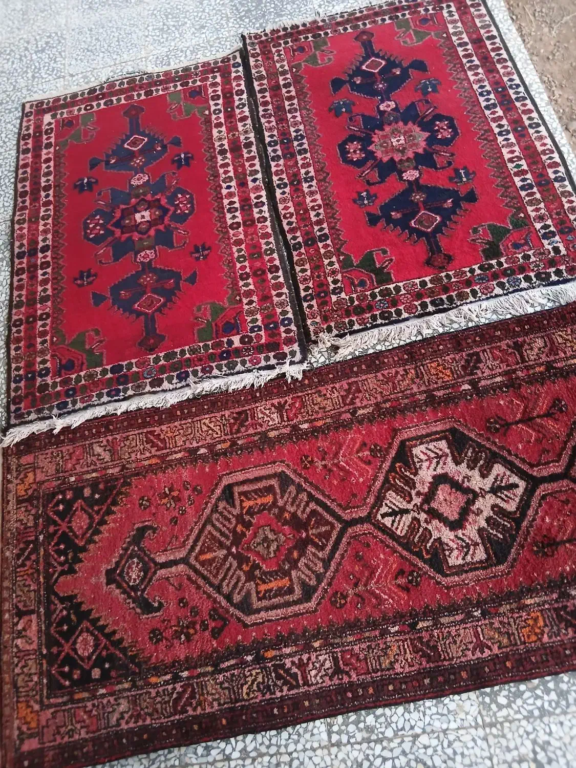 سه عدد فرش دست باف|فرش|بوئین زهرا, |دیوار