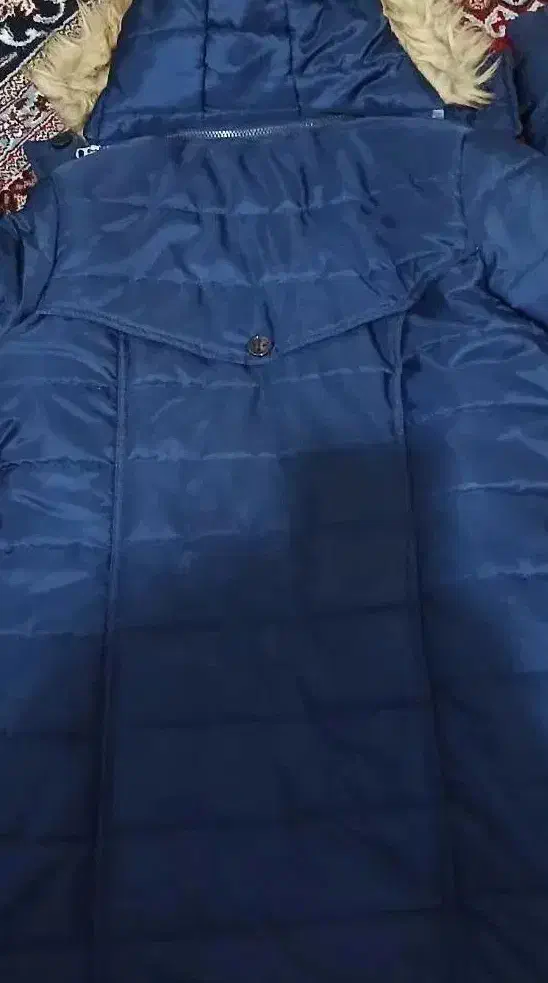 کاپشن|لباس|زنجان, |دیوار