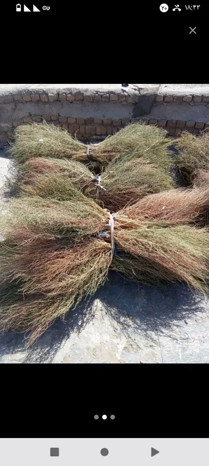 جارو محلی|لوازم نظافت|بروجرد, |دیوار