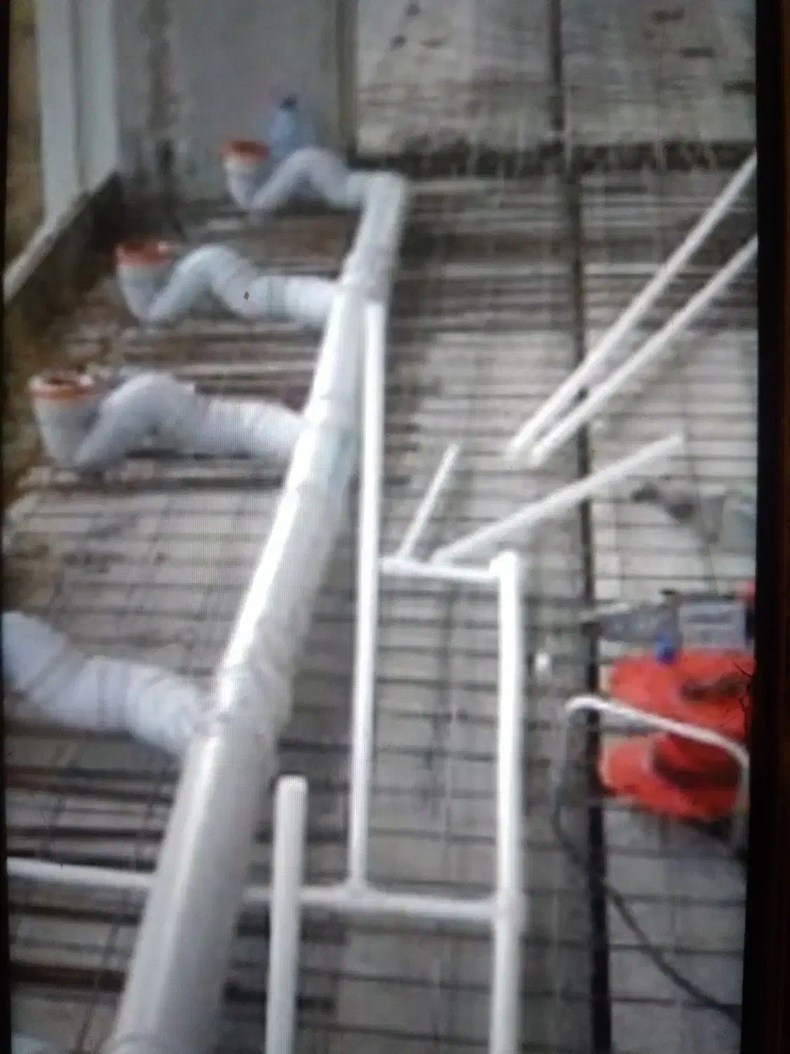 تاسیسات ولوله کشی|خدمات پیشه و مهارت|ارومیه, |دیوار