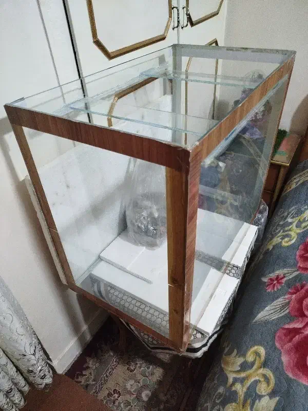 آکواریوم ماهی|ماهی|شیراز, پانصد دستگاه ارتش|دیوار