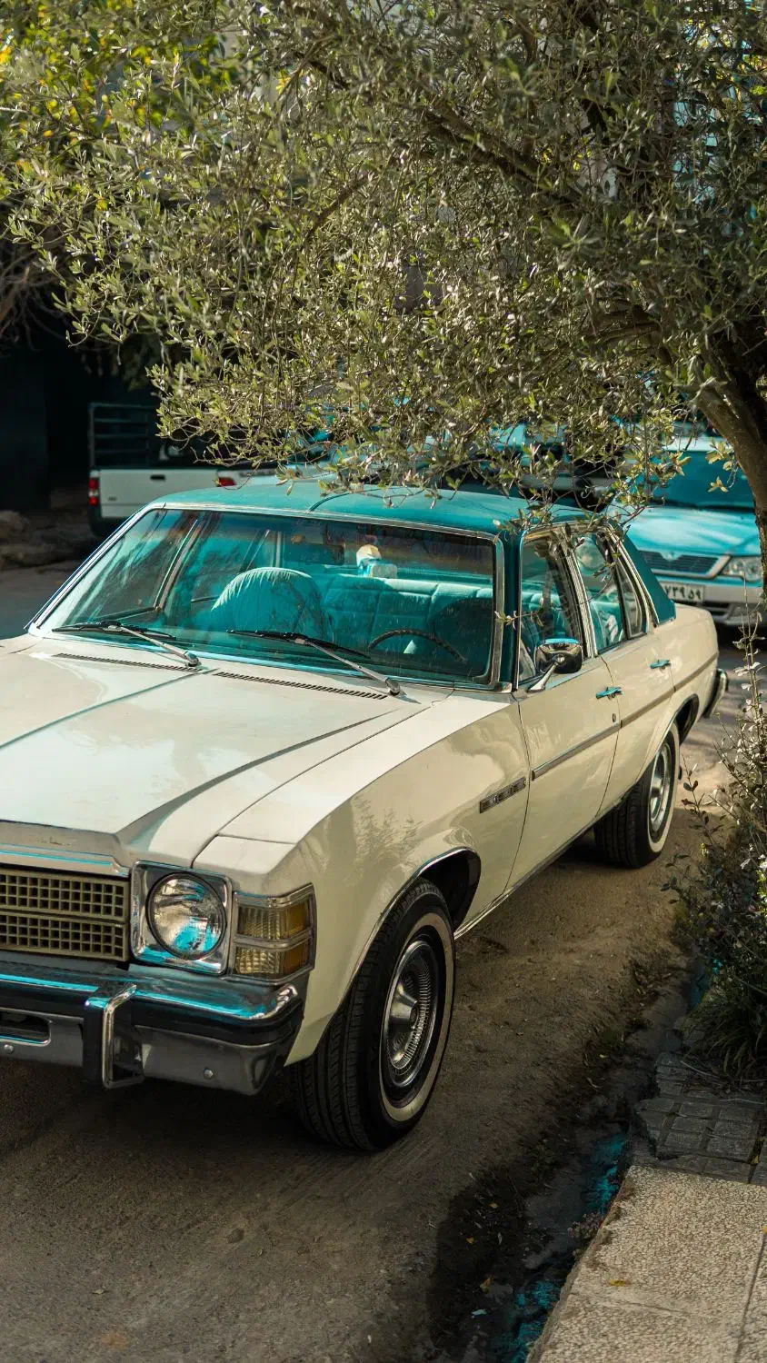 بیوکb3 1364|خودرو کلاسیک|تهران, یوسف‌آباد|دیوار