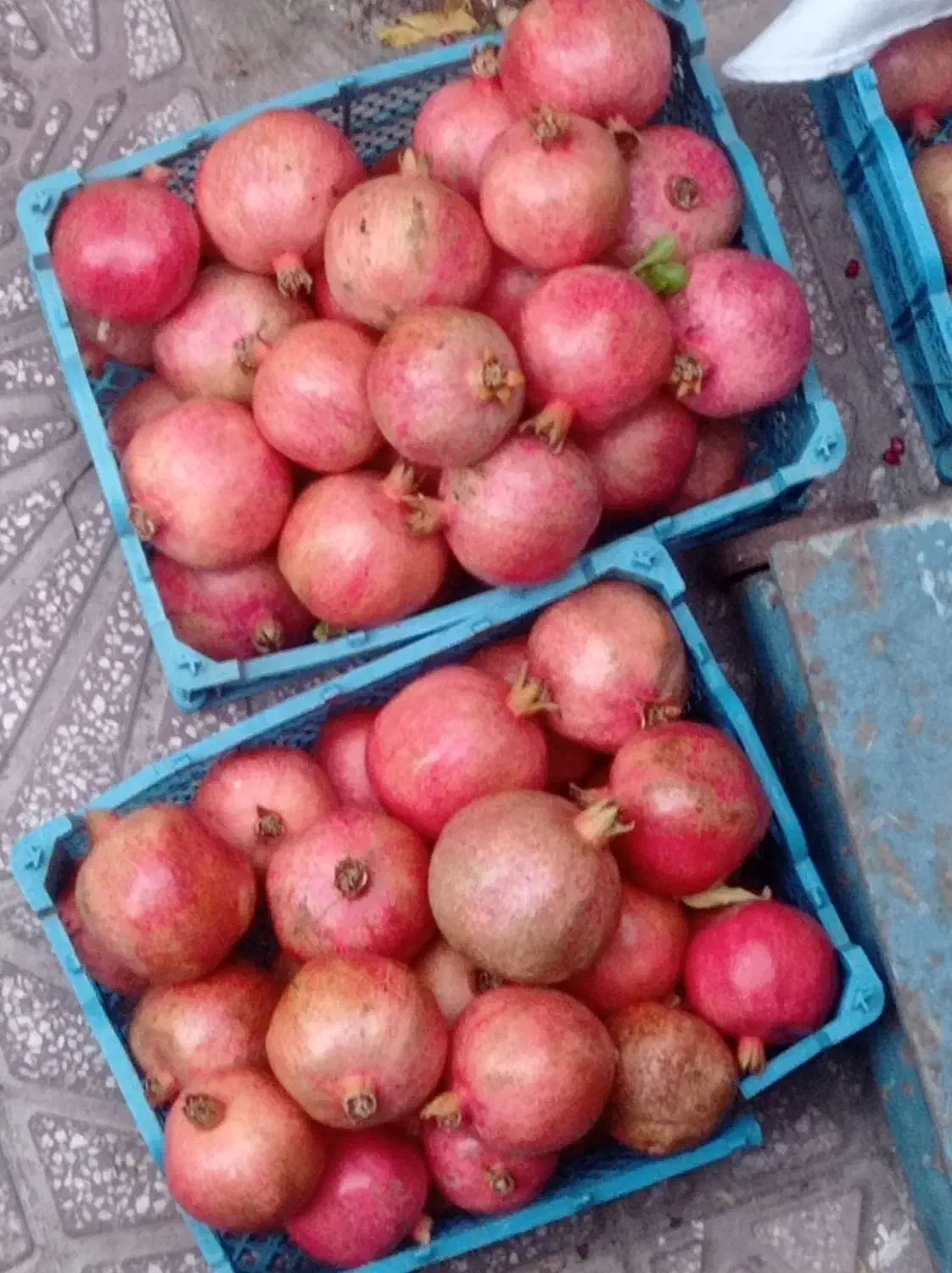 انار درجه یک مستقیم از باغدار|خوردنی و آشامیدنی|مهدی شهر, |دیوار