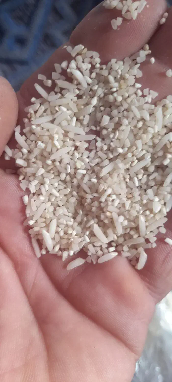 لاشه|خوردنی و آشامیدنی|ساری, |دیوار