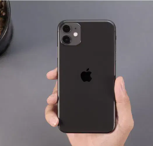 آیفون 11|موبایل|نیشابور, فردوس شمالی|دیوار