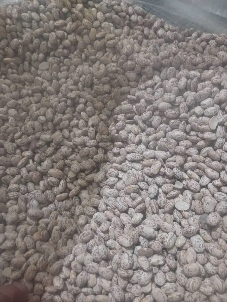 محصولات محلی|خوردنی و آشامیدنی|اهواز, شهدای انتظامی|دیوار