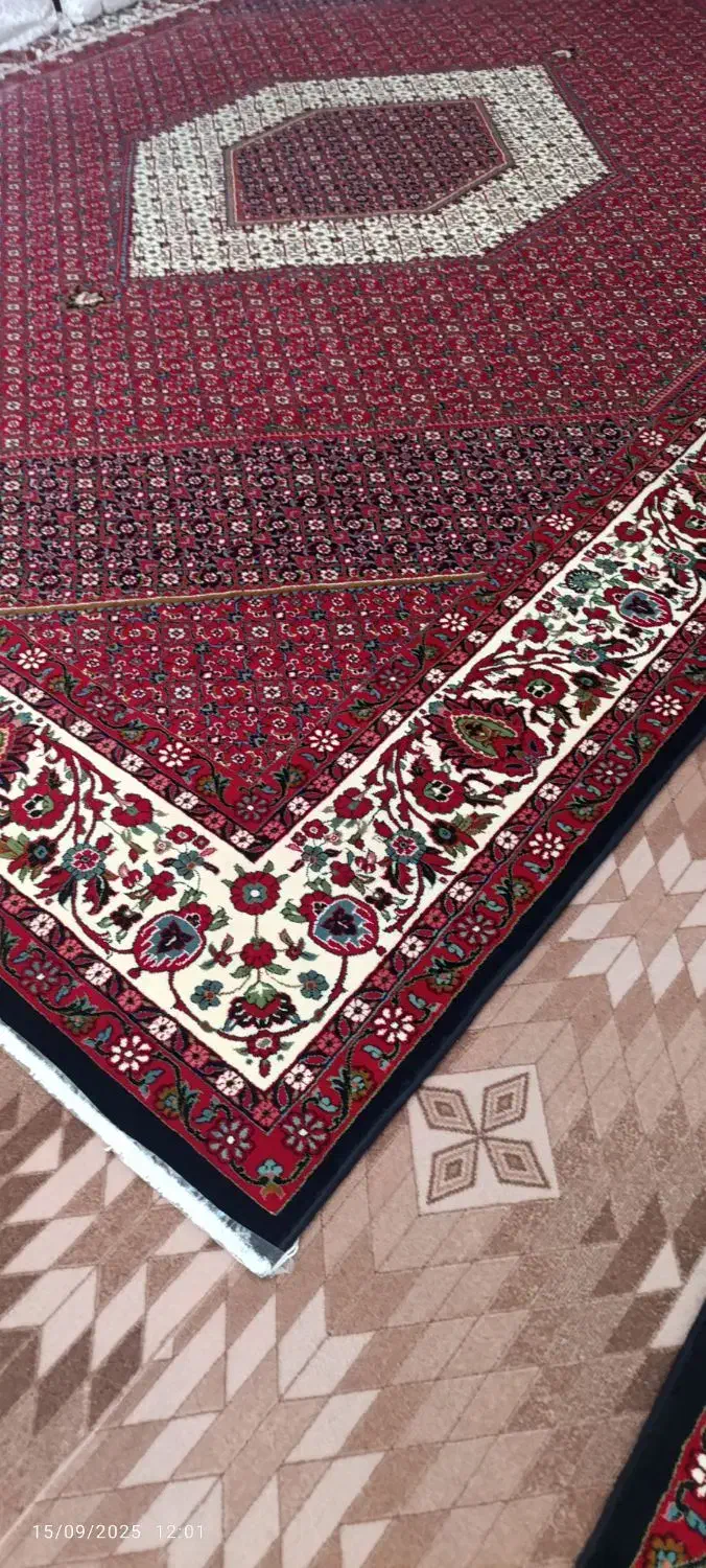 فرش ۱۲متری|فرش|بروجرد, |دیوار