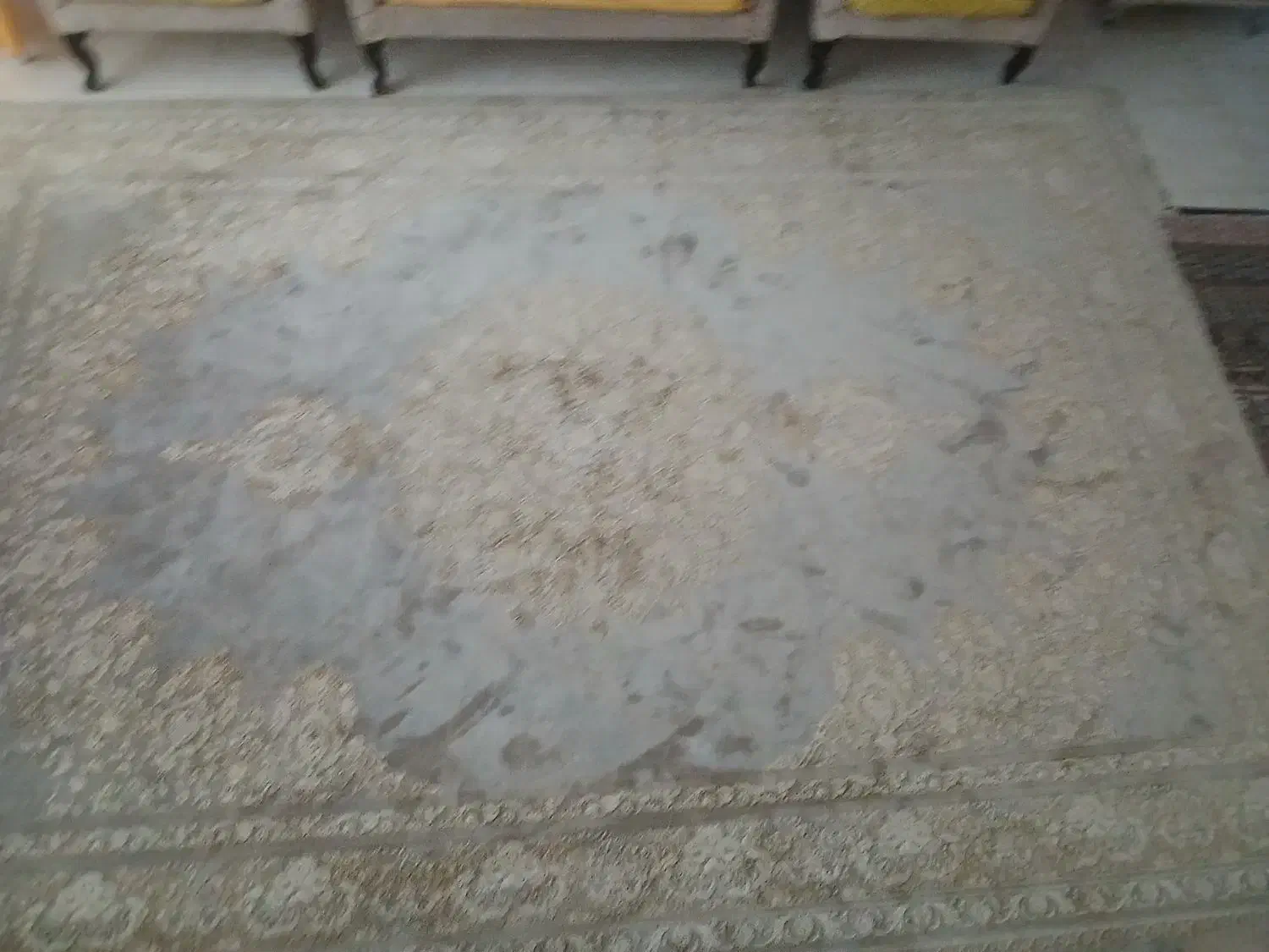 فرش سوفیا گل برجسته|فرش|بجنورد, |دیوار