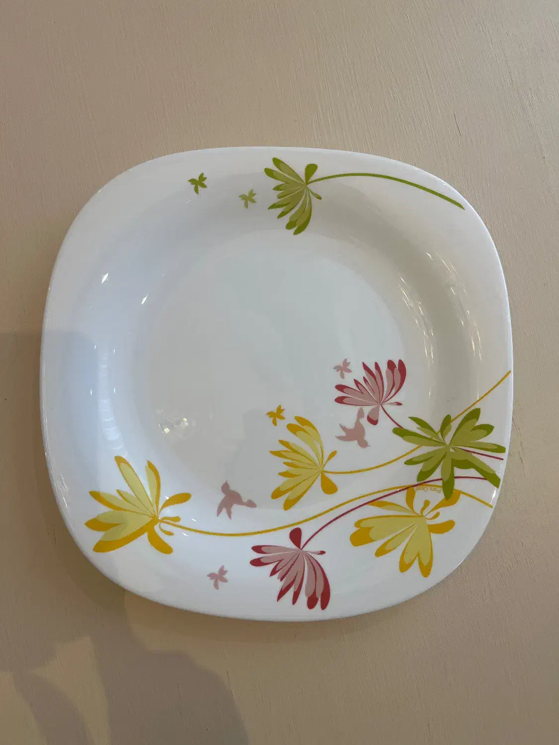 ارکوپال ایرانی|ظروف سرو و پذیرایی|کرج, کوی کارمندان جنوبی|دیوار