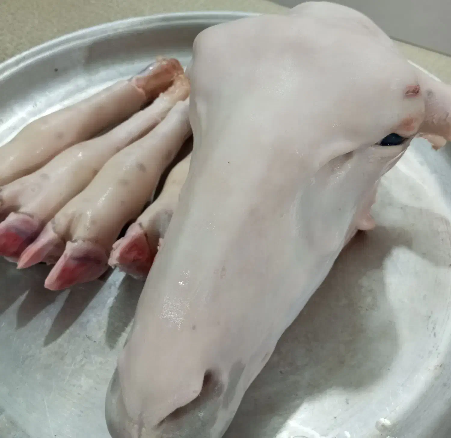 پاک کله پاچه|خدمات نظافت|خرم‌آباد, |دیوار