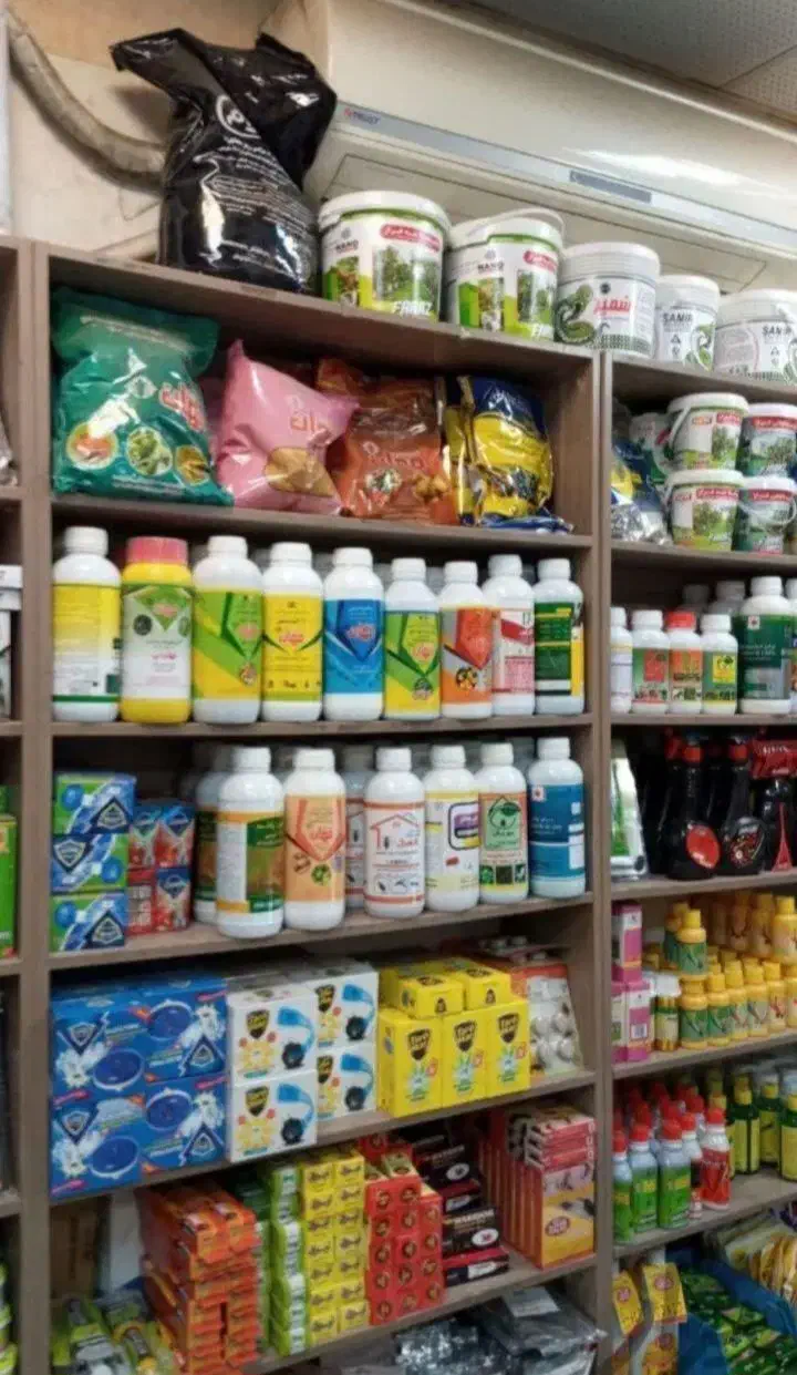 سمپاشی سوسک سم پاشی ساس کنه حشرات تمام نقاط مشهد|خدمات نظافت|مشهد, امامیه (شهرک غرب)|دیوار