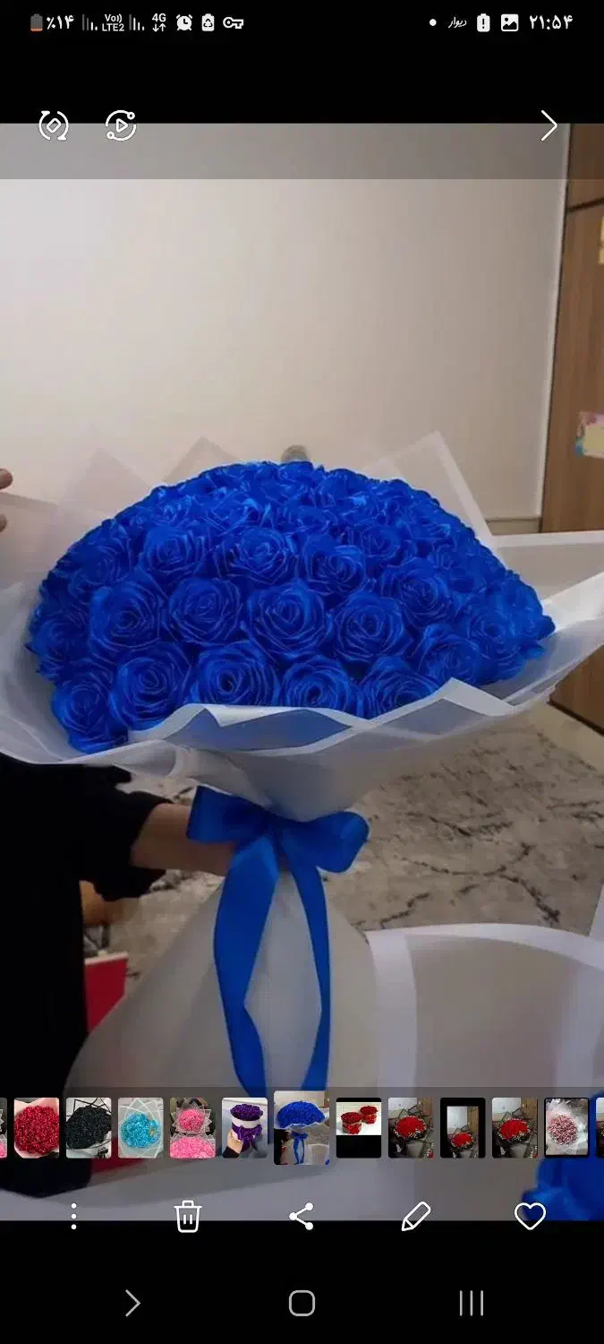 گل ربانی|گل مصنوعی|کاشان, دانش|دیوار