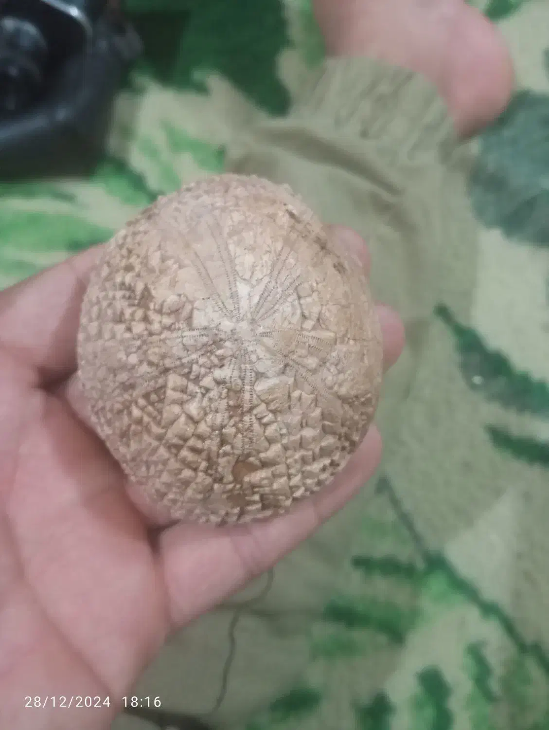 سنگ قیمتی|کلکسیون اشیاء عتیقه|نورآباد, |دیوار