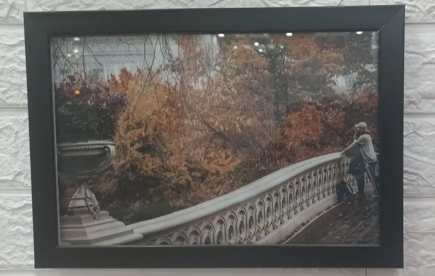 قاب|تابلو، نقاشی، عکس|پرند, فاز ۶|دیوار