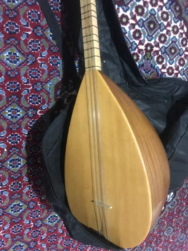 موسیقی|سازهای سنتی|سلماس, |دیوار