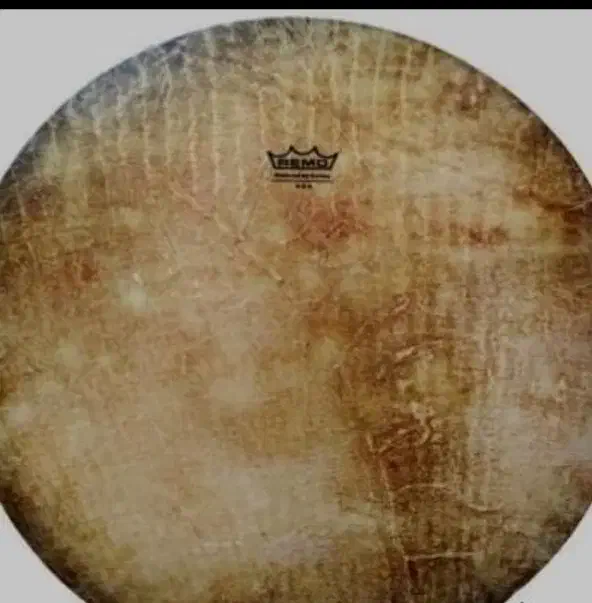 ساز -دف|سازهای سنتی|شاهین‌شهر, اقبال لاهوری|دیوار