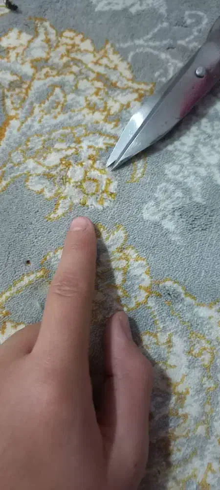 رفوکاری و رنگبرداری فرش درمحل|خدمات پیشه و مهارت|پرند, فاز ۲|دیوار