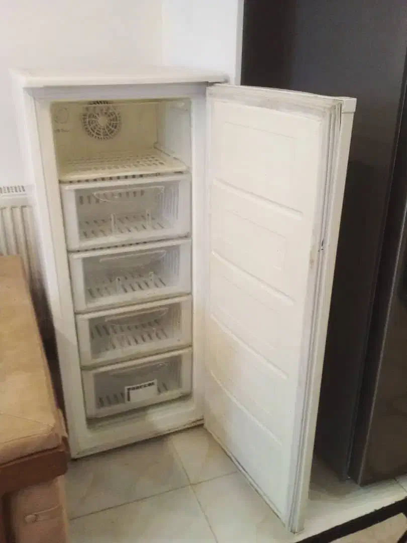 فیریزر دوو|یخچال و فریزر|شاهینشهر, فردوسی|دیوار