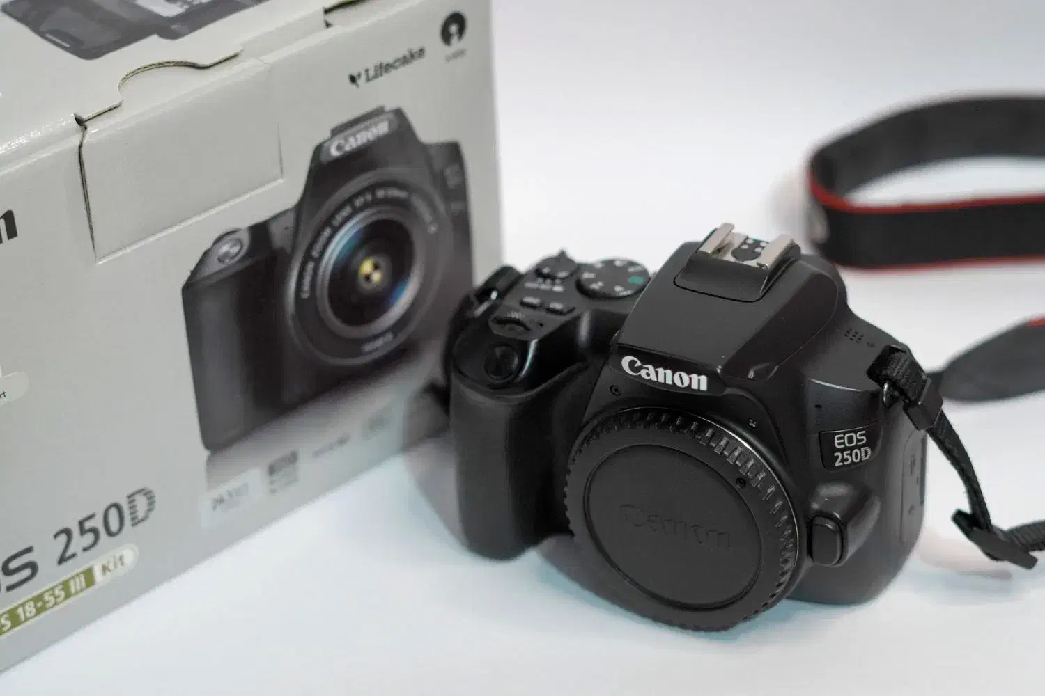 دوربین 250D Canon & Lens50mm 1.8|دوربین عکاسی و فیلمبرداری|رشت, قاسمیه|دیوار