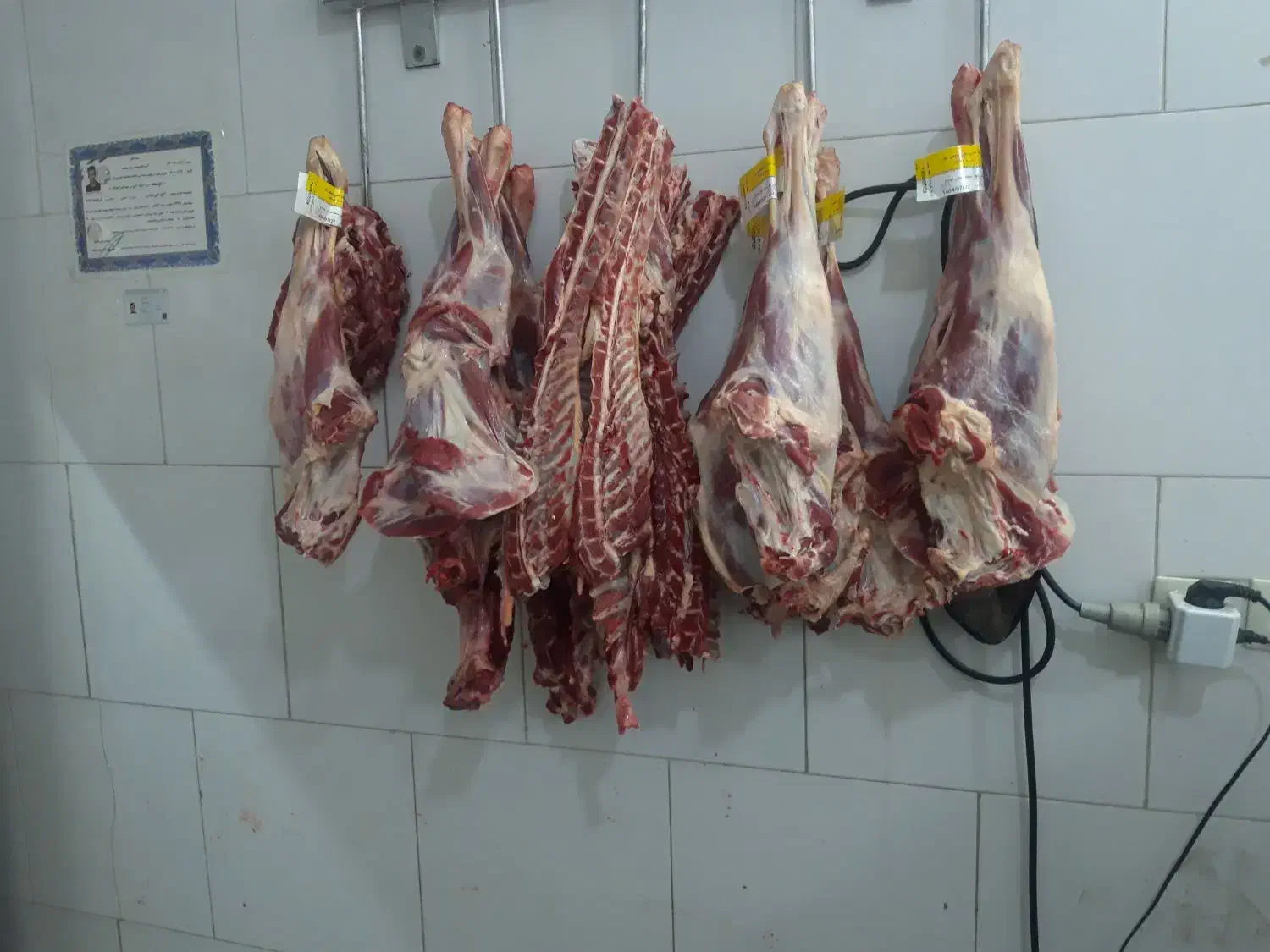 گوشت گوسفندی|خوردنی و آشامیدنی|اصفهان, جاوان|دیوار