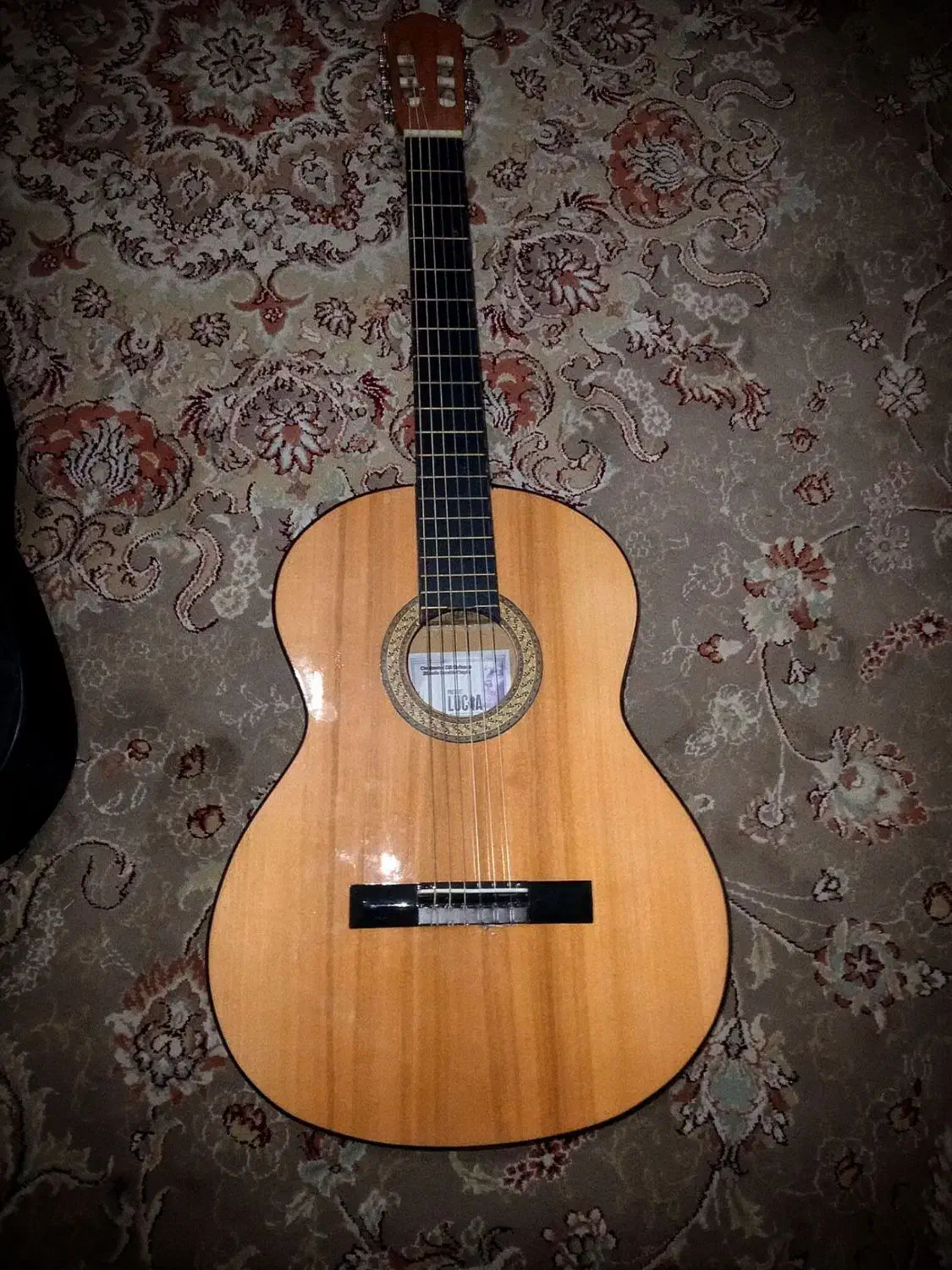 گیتار.ایرانی.لوکا.نو|گیتار، بیس، امپلیفایر|گلبهار, شهر جدید گلبهار|دیوار