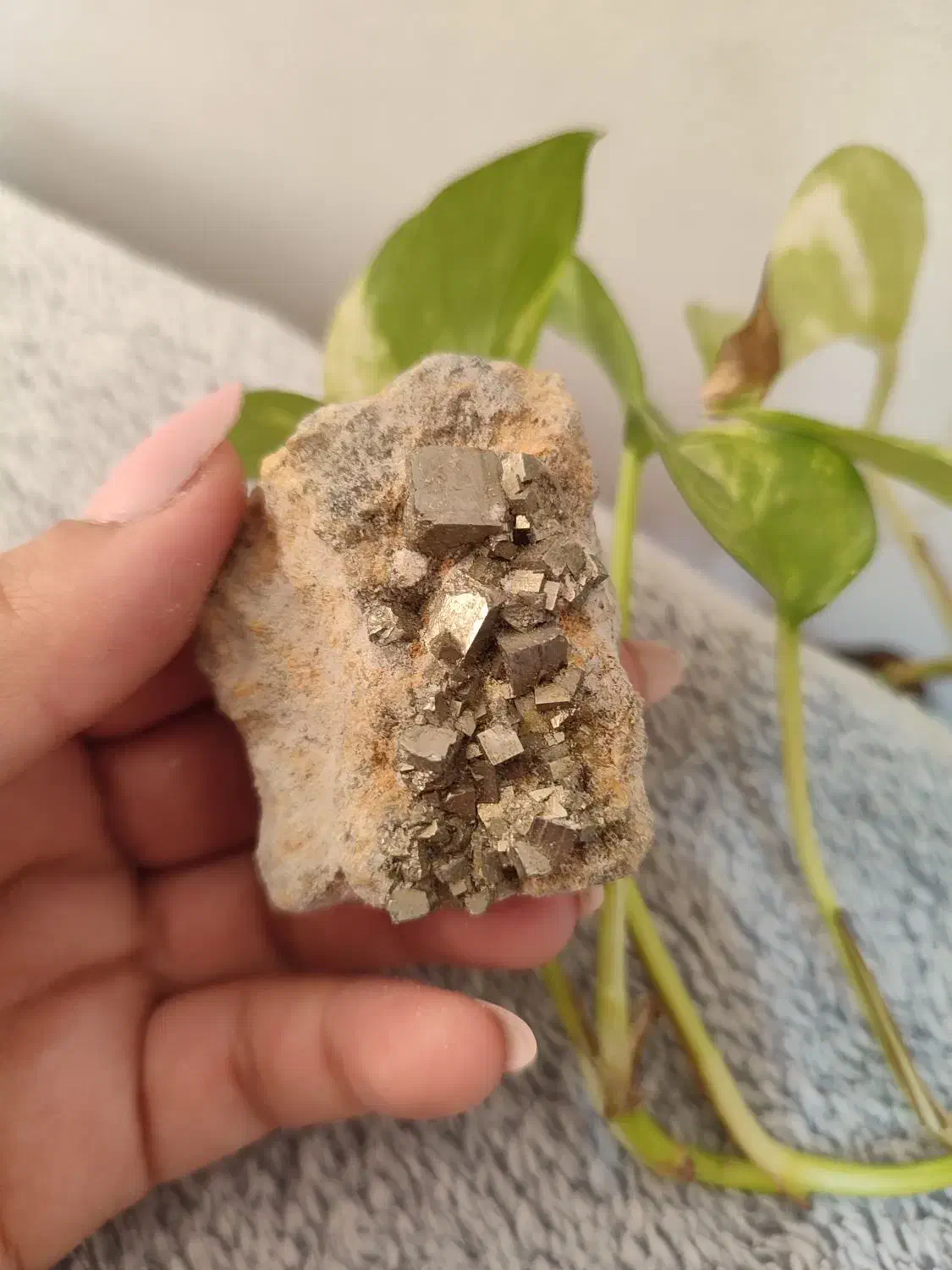 سنگ تزئینی|صنایع دستی و سایر لوازم تزئینی|مشهد, آزادشهر|دیوار