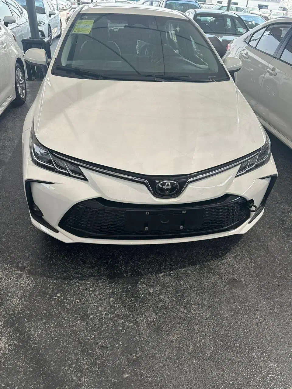 واردات وترخیص خودرو وانجام کلیه امور خودرویی|خدمات حمل و نقل|آبادان, |دیوار