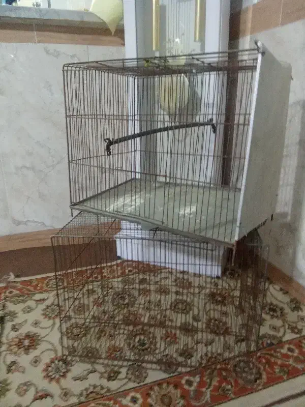 دوعدد قفس سایز بزرگ|لوازم جانبی حیوانات|پاکدشت, پاکدشت (مامازند)|دیوار
