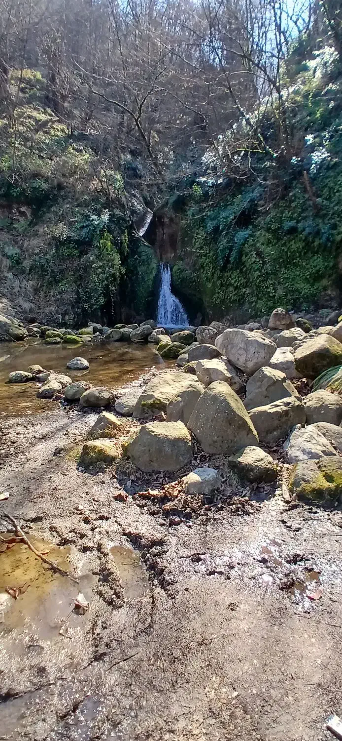 سلام سیمانکاری چاه کنی|خدمات پیشه و مهارت|زنجان, |دیوار