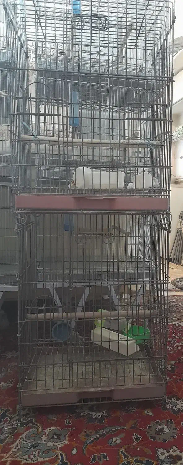 قفس|لوازم جانبی حیوانات|ساوه, |دیوار