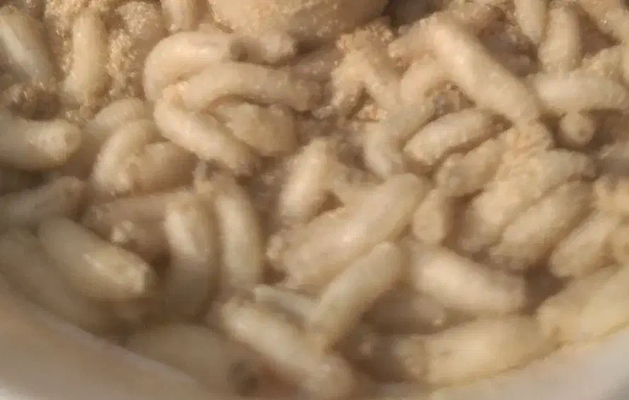 ماگوت زنده و عصاره ماگوت|ماهیگیری|تهران, علم و صنعت|دیوار