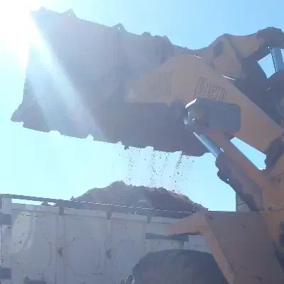 کود گاوی پاک بدون ناخالصی|خدمات باغبانی و درختکاری|بم, |دیوار