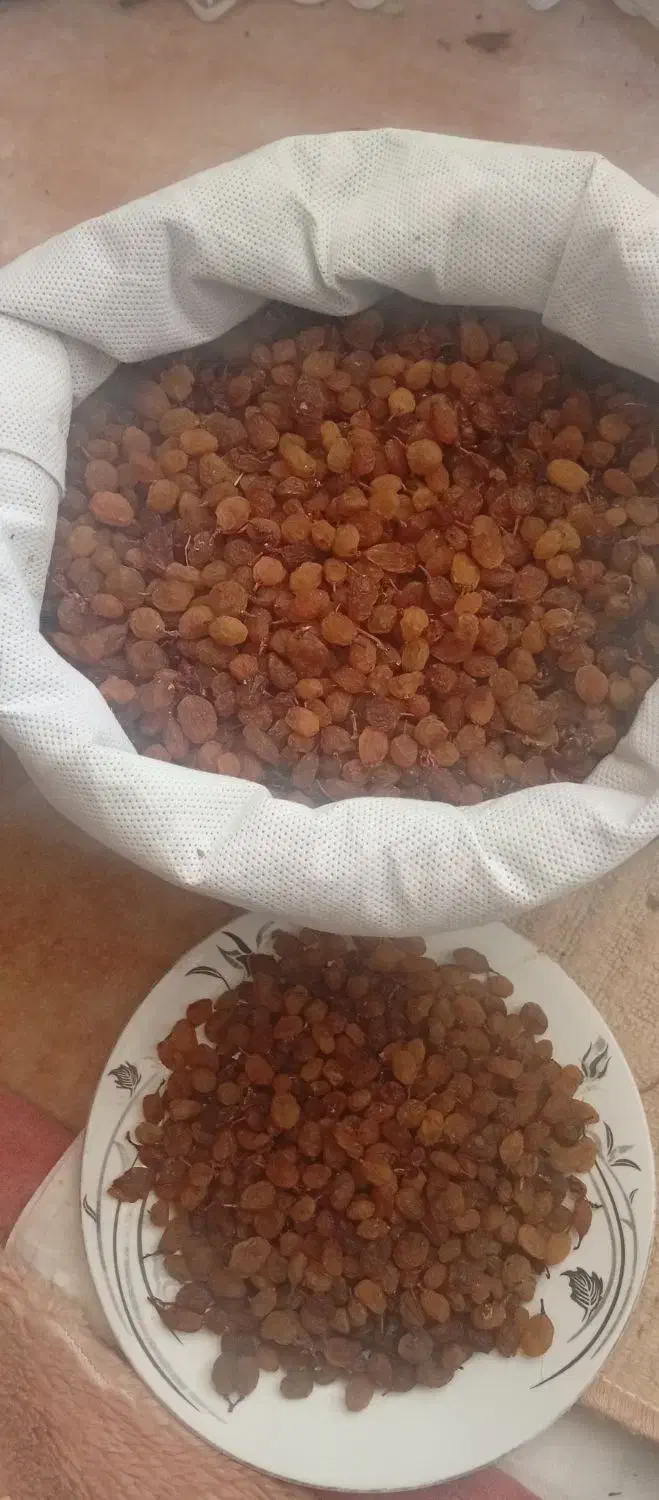 کشمش|عمدهفروشی|بجنورد, |دیوار