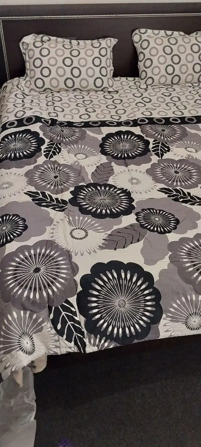 روتخت خواب|رختخواب، بالش، پتو|شیراز, شهرک قمشه|دیوار