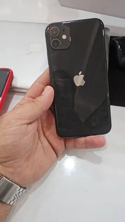 ایفون ۱۱ نرمال|موبایل|تربتحیدریه, باغ ملی|دیوار