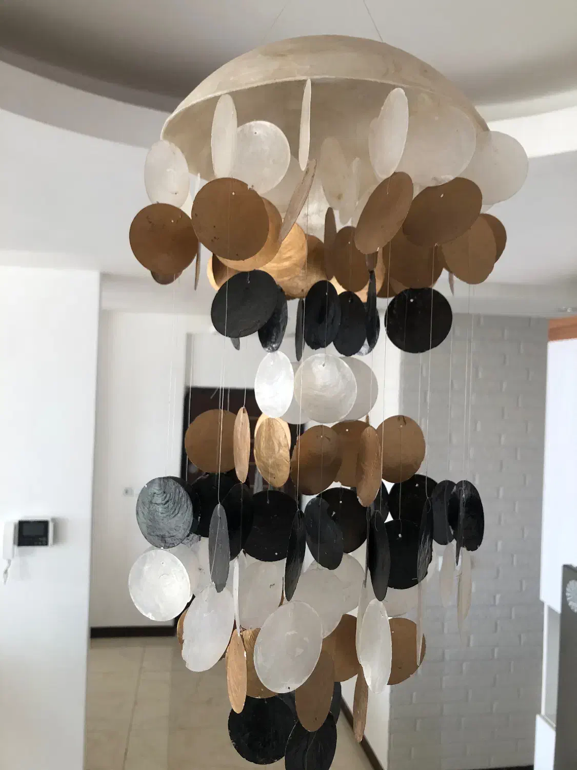 لوستر صدف طبیعی|لوستر و چراغ آویز|کرمان, |دیوار