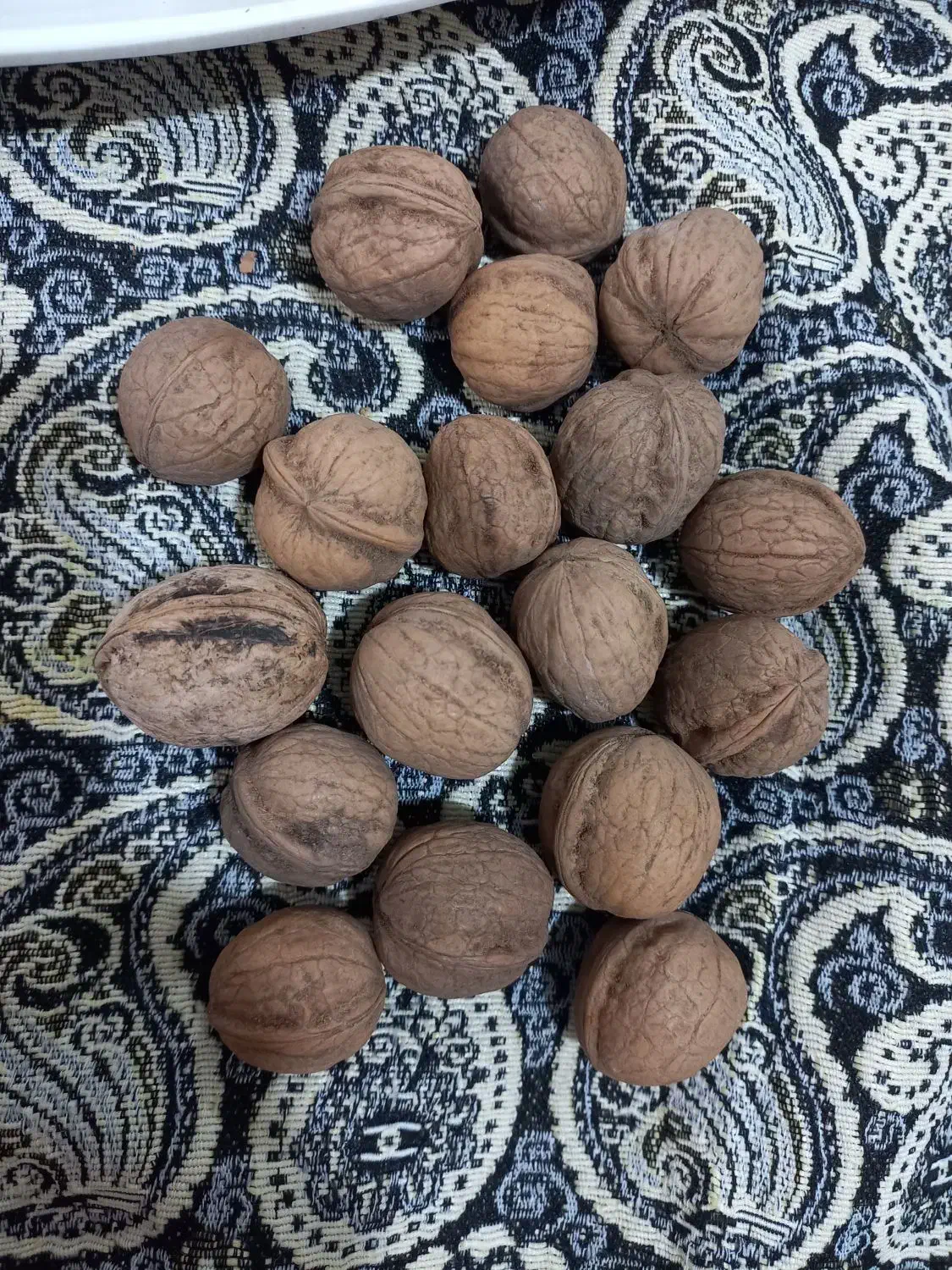 گردو تویسرکان|خوردنی و آشامیدنی|چهارباغ, |دیوار