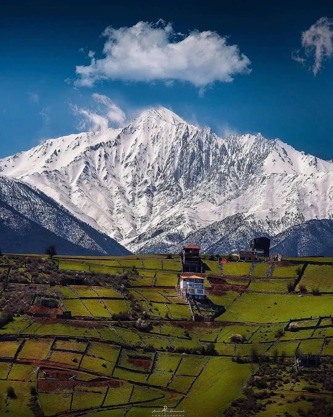 یک مورد طلا پیدا شده|اشیا|همدان, |دیوار