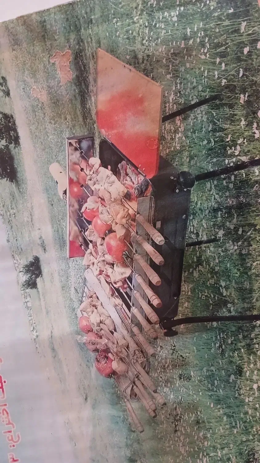 باربیکیو|اجاق گاز و لوازم برقی پختوپز|شیراز, قصرالدشت|دیوار