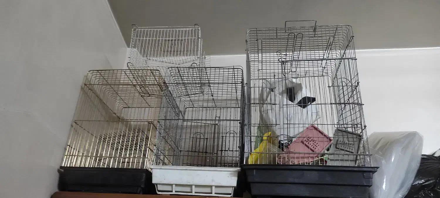قفس پرنده|لوازم جانبی حیوانات|تهران, شهرک رضویه|دیوار